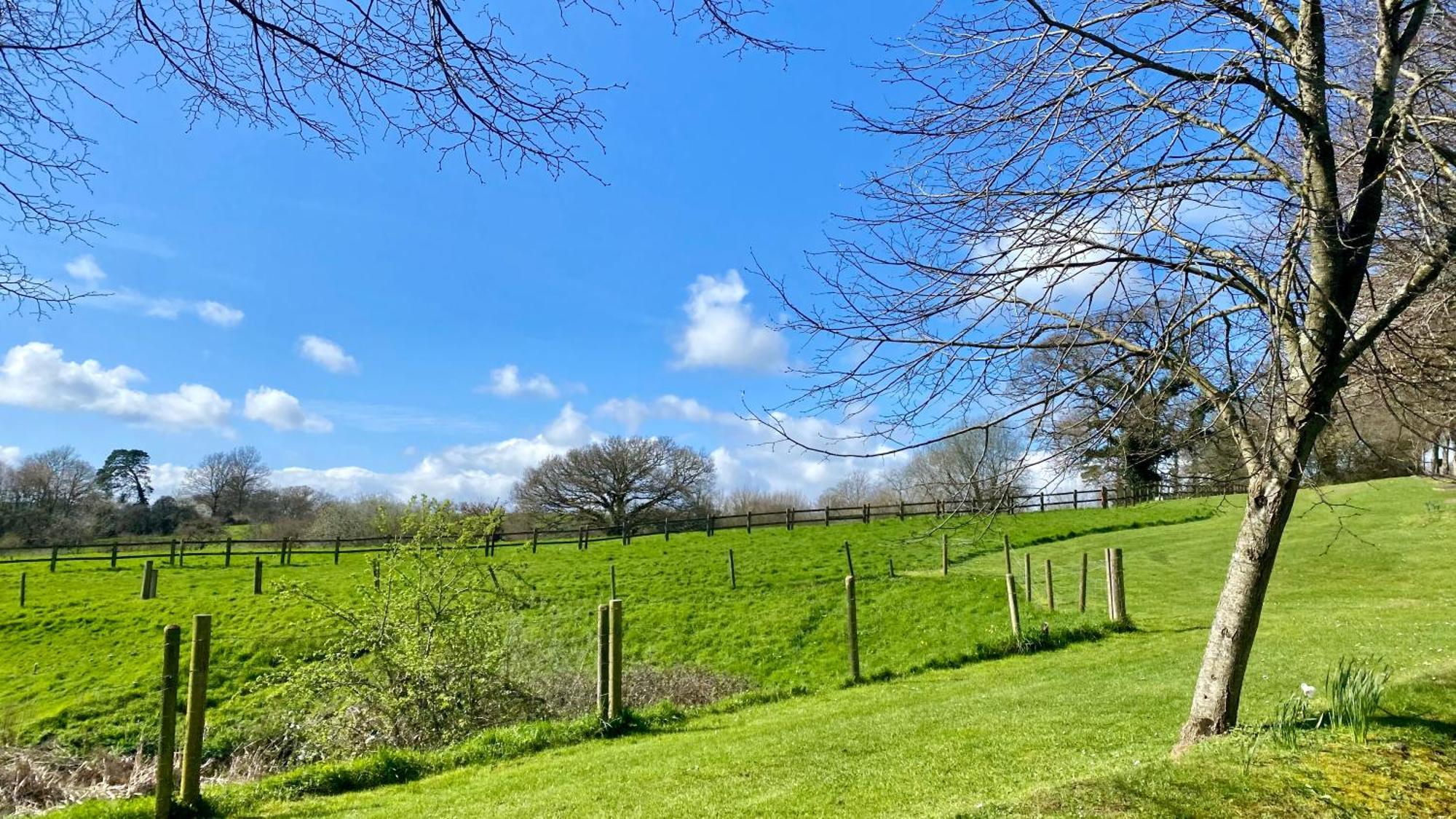 Lodge Nine For 6 With Hot Tub - Spa Resort In Devon Chudleigh Exteriör bild